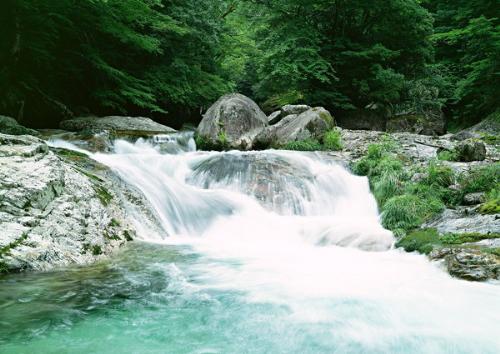 nature - brook