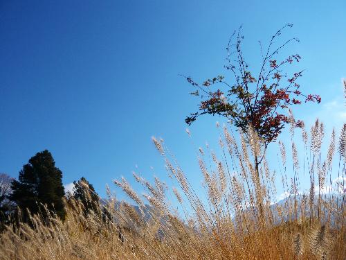 blue Sky - Sky,blue sky i like