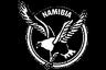 Namibia - President	 Dirk Conradie Address	Namibia Rugby Union PO Box 138Lichtenstein Street Olympia - - Windhoek - NAMIBIA Phone	+264 61251 775 Website	 Email	 Foundation year	1990 Squad List:  * M. Africa  * H. Bock  * L. Botes  * J. Burger  * J. Drotsky  * T. du Plessis  * J. du Toit  * N. Esterhuize  * D. Grobler  * H. Horn  * E. Jantjies  * D. Kamonga  * W. Kazombiaze  * B. Langenhoven  * K. Lensing  * H. Lindvelt  * T. Losper  * M. MacKenzie  * J. Meyer  * D. Mouton  * J. Nieuwenhuis  * C. Powell  * J. Redelinghuys  * M. Schreuder  * H. Senekal  * J. van Tonder  * P. van Zyl  * M. Visser  * E. Wessels  * R. Witbooi Coach: Hakkies Husselman