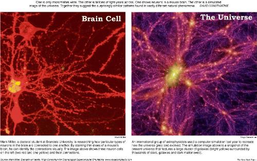 Mouse neuron vs Universe!! - Amazing isn't it...