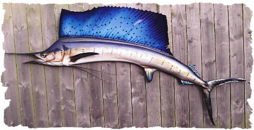 fish - fish pictures