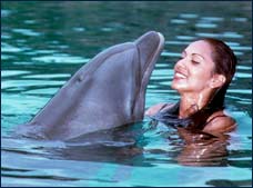 swim with dolphins - woman with dolphin in water