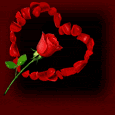 rose - symbol of love - rose - symbol of love. share your love with roses!