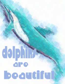 DId I say dolphins are cute ? - They are, if I was an animal I would love to be a dolphin :)