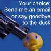 send me an email or.... - it's your choice send me an email or say goodbye to the duck