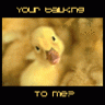 You're talking to me? - You're talking to me???