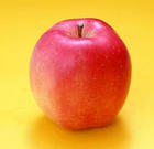 apple - My favorite fruit is apple.