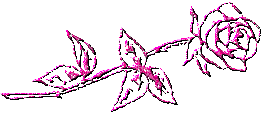 rose - a pink glittery rose