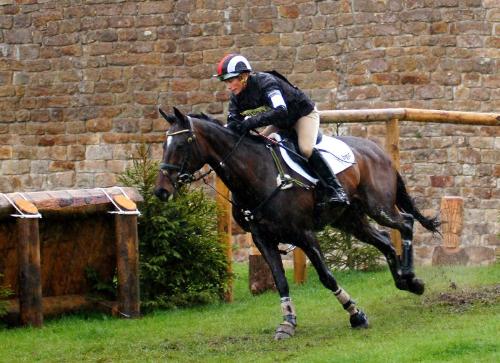 Racing - Racing Horse