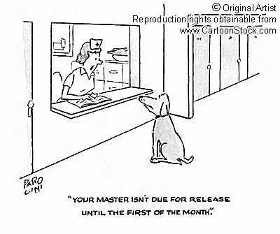Receptionist - Receptionist at a Hospital