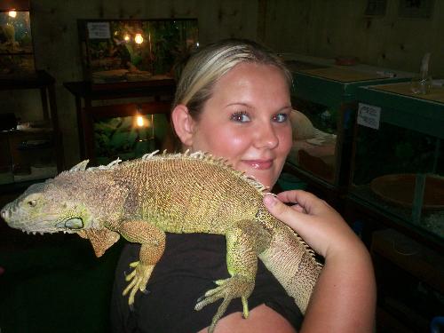 iguana - this iguana is not liking me... it feels the need to dig its claw thingy's into my shoulder and cause me pain! why? what did i do to it?