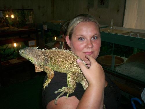 iguana - again with the pain! I had marks on my shoulder for ages after this! plus it weighed an absolute ton!