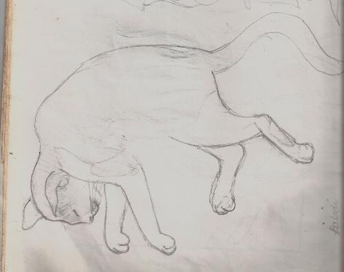 Cats - I drew these cats when I was 14 years old. I only used a normal pencil when I made this.