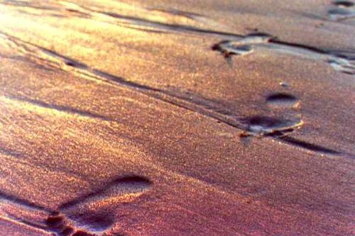 Footprints - Found this on the internet and thought it was pretty enough to share.