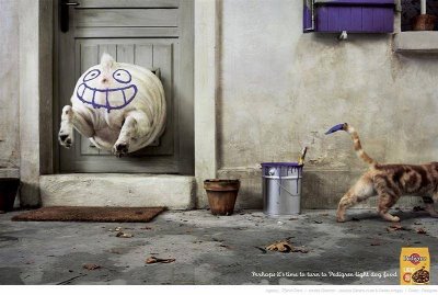 The Smart Cat - Too Funny for words.
