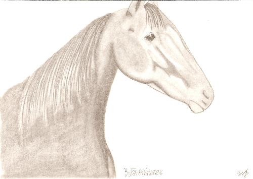 Drawing of a horse my hubbys caretaker too. ByFait - Something I like to do in my spare time. This is a drawing of a horse that my hubby cares for, shes a pacing filly by the name of ByFaithValaree. Drawn from a photo I took of her one morning during feeing time, she was watching my hubby closely as she was ready to eat!