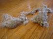 dust bunnies are everywhere! - Beware of the Dust Bunnies!