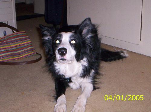 Panda - My favorite child and she rarely talks back!