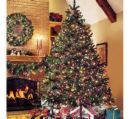 Where to put a Christmas tree! - Christmas tree in room