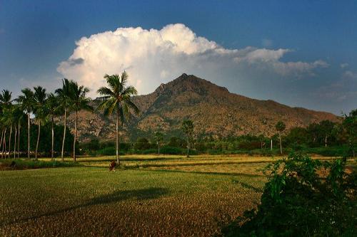 Mount Arunachala - Believed to be the physical avatar of Krishna in this age. Home to Ramana Maharshi's ashram.