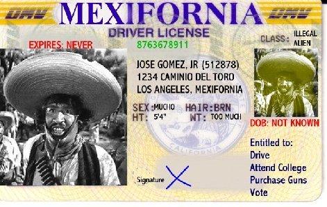 New California Licence - California Licence for Imigrants New California Licence - California Licence for Imigrants