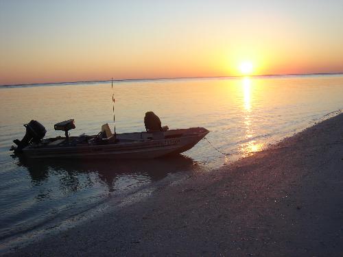 Beached - I took this picture when I was camping at Shell Island. I had the time of my life!! I thought I had died and gone to Heaven!