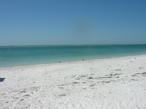 Fort DeSoto North Beach - This picture was taken at Fort DeSoto North Beach, just south of St. Pete Beach, in Florida. 