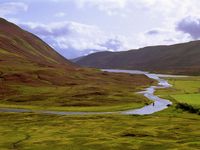 Marshy ground - Little stream and a marshy ground.