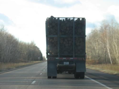 Wood Load - One of maybe 50 trucks I saw on a short trip on 10-31-07 Wood Load - One of maybe 50 trucks I saw on a short trip on 10-31-07