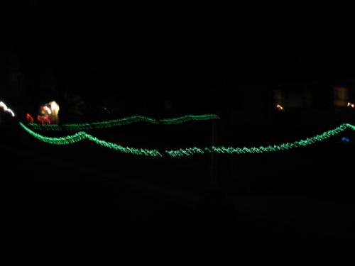 X-Mass Lights - This is portion of the green lights that line the edge of my front yard
