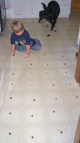 My Son - This is my son playing with acorns. He lined them all up in the squares of the tile.