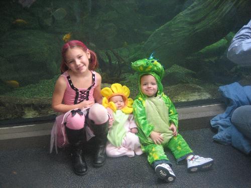 Trick or Treat - My children at the Zoo Boo in their Holloween costumes.