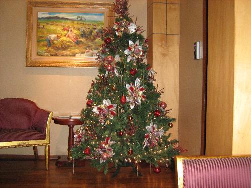 Christmas Tree - Christmas tree decorated nicely...