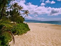 Pipeline beach - Downloaded from Edenpics.com