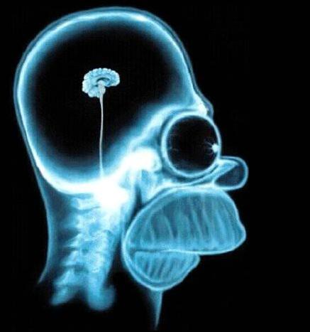 brain - a funny brain