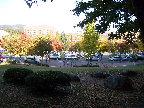 my campus. - my campus in korea.