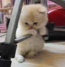 cute silence - sometimes even silence can convey messages