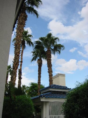 Winter in the Desert - Monsoon season, which brings us welcome rain, is a summer treat, but sometimes we see pretty clouds during the winter months. They are rare enough, though, that I run to get my camera.