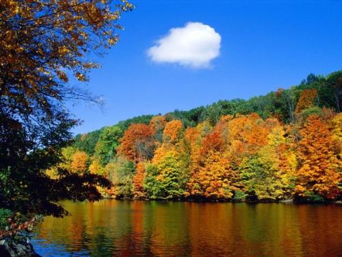 autumn - is here