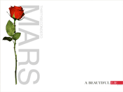30stm - 30STM wallpaper