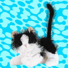 Trendy, My First Webkinz - I really love her so much