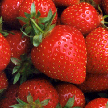 Strawberry - Strawberry (fruits, ingredients)