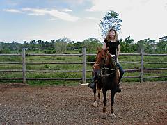 Beautiful horse heading to the beach to run! - In Dominican Republic by myself going towards the beach to run this horse. Beautiful! What a day! And,  what a horse...