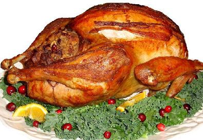 thanksgiving day turkey - time to have some turkey, nice juicy turkey