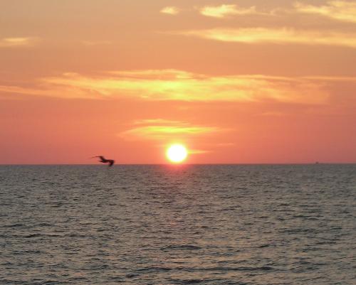 Clearwater Beach Sunset - This is a picture of a sunset I took while my husband and I were on our honeymoon in Clearwater Beach, Florida.