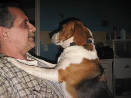 My Buster - Sitting on my lap as I was on the computer My Buster - Sitting on my lap as I was on the computer