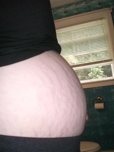 pregnancy - a pregnant belly!
