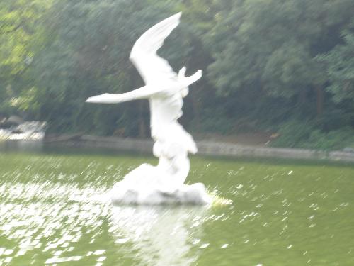 Good view in AnHui  - This photo is form HeFei in AnHui