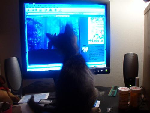 Simba - Simba is making sure the pointer doesn't mess up for me and 'dictates' what's going on on the screen as well since I can never see around him.