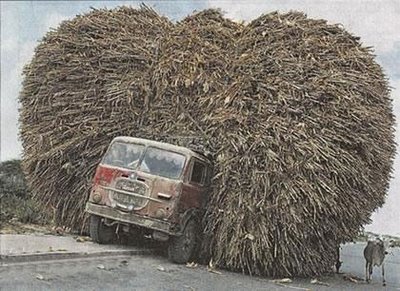 they say this as loading - this is something you can see in India or i dont knw where else,,, though it seems funny its not so funny..as they do this for there life hood, for which they have to beg otherwise...